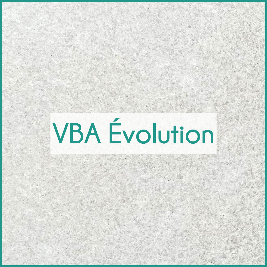VBA-évolution-miniature-site.png