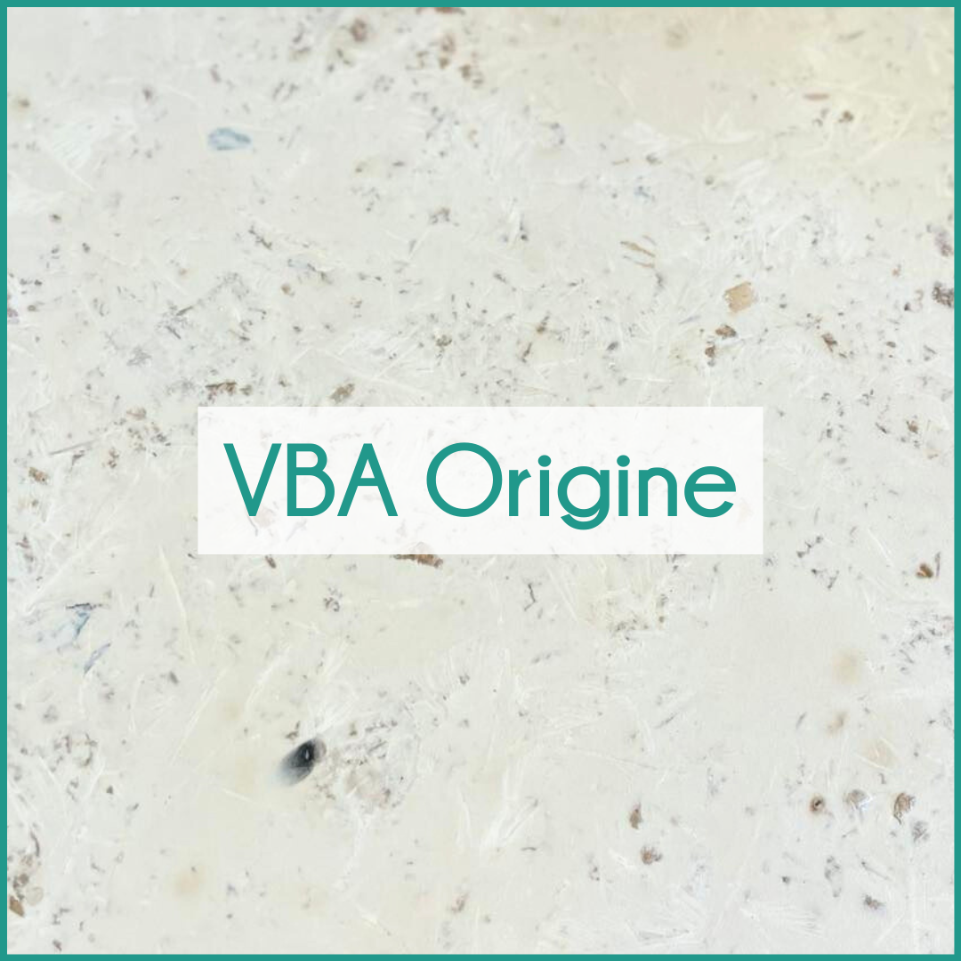 VBA Origine.png